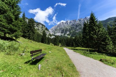 Ön planda bir Bank ile pastoral dağ sahne. Avusturya Alpleri, Tyrol, Wilder Kaiser