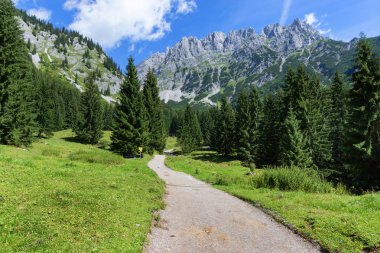 Yaz dağ manzarası ile yolu hiking. Vahşi Kaiser cain veya Wilder Kaiser, Avusturya, Tyrol.