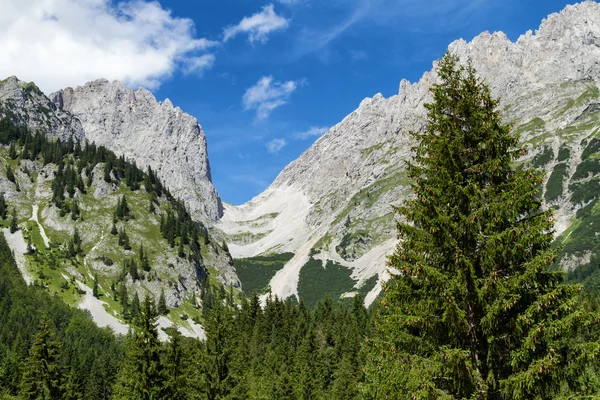 Montagna alta montagna Ellmauer Tor Austria destinazione turistica Wilder Kaiser catena, Tirolo . — Foto Stock