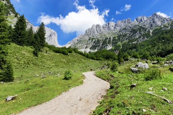 Randonnée dans les Alpes par une journée ensoleillée. Wilder Kaiser près de Wochenbrunner Alm, Tyrol, Autriche . — Photo