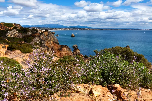 Coastline Algarve with flowers in the spring. Portugal, near Lagos — Stock Photo, Image