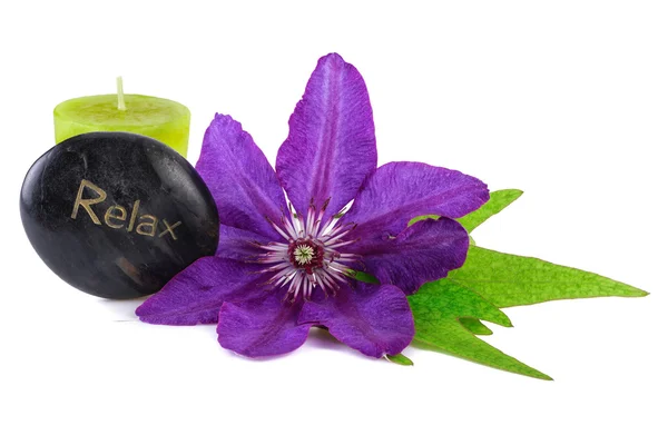 Relax Wellness Tropical Flower with Spa Stone and Candle — Stock Photo, Image