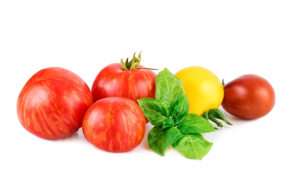 Tomaten mit Basilikumblatt. verschiedene Tomaten mit Basilikumblatt isoliert auf weiß. — Stockfoto