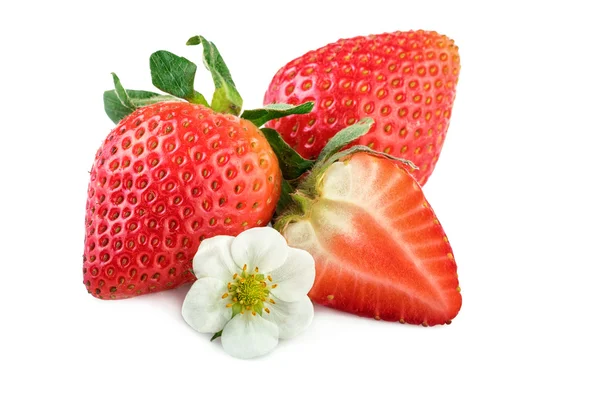 Rijpe aardbeien op witte closeup — Stockfoto