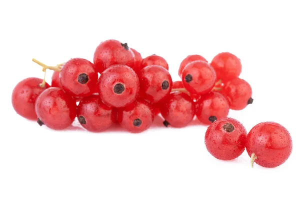 Rote Johannisbeeren isoliert auf weiß — Stockfoto