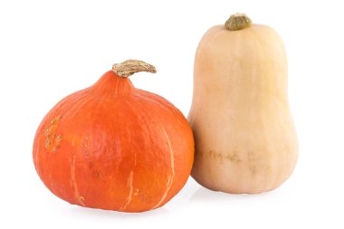 Kabak hokkaido ve butternut