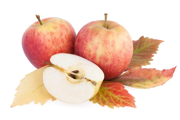 Herbst Früchte Äpfel mit Blatt isoliert auf weißem Hintergrund — Stockfoto