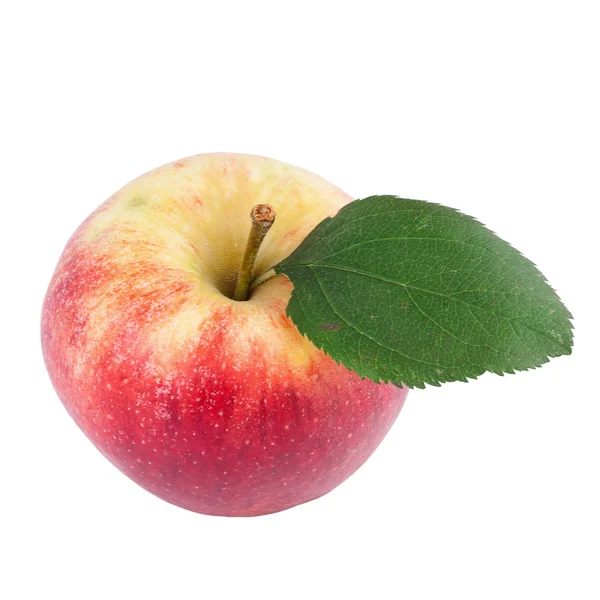 白色衬底上分离出的有机苹果 — 图库照片