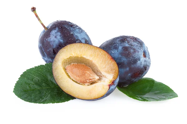 Frutta di prugne — Foto Stock