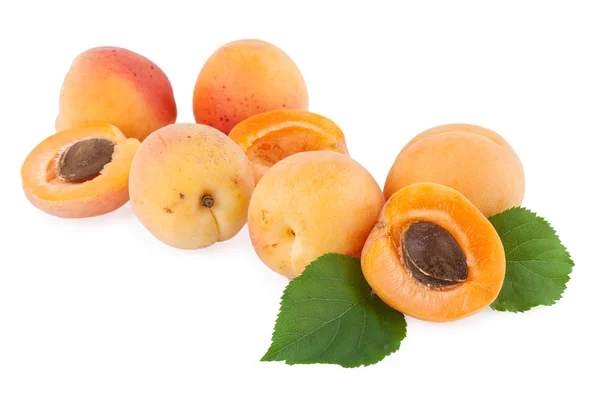Свежие фрукты абрикоса — стоковое фото