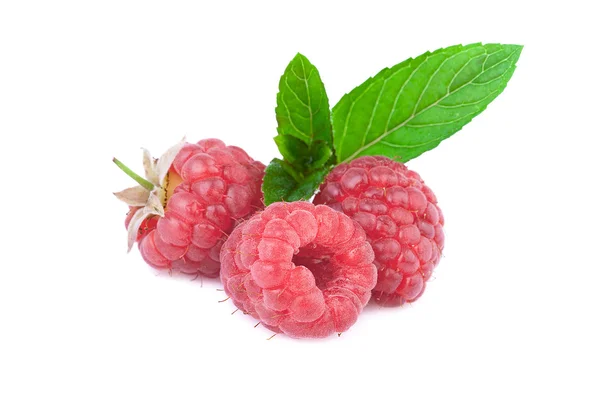 Raspberries with Mint Leaf — Stock Photo, Image