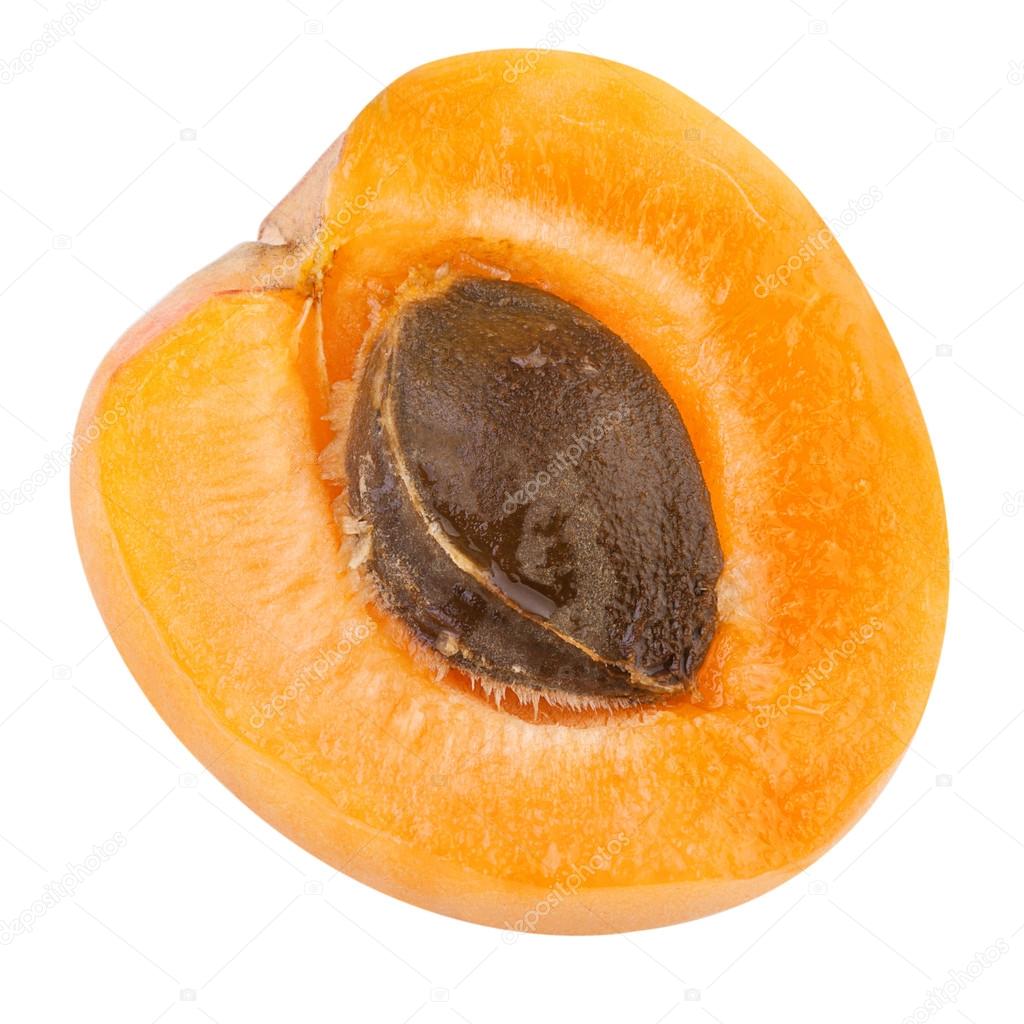 Half of a Apricot with fruit core