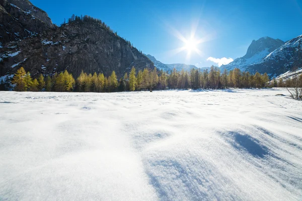 Alpejskie góra krajobraz w słoneczny dzień z drzewa modrzewiowego na śniegu. Opadów śniegu, Późną jesienią i wczesną zimą. — Zdjęcie stockowe