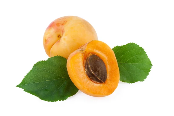 Aprikosenfrüchte isoliert auf weiß — Stockfoto