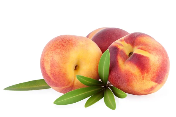 Perzik fruit geïsoleerd — Stockfoto