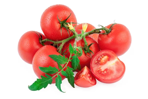 Tomato organic isolated white background — Stock Photo, Image