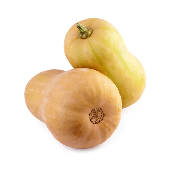 Squashes butternut — Stock Photo, Image