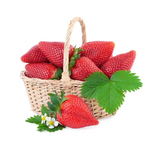 Panier à fraises — Photo
