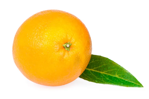 En orange frukt grönt blad — Stockfoto