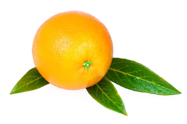 Orange frukt grönt blad — Stockfoto