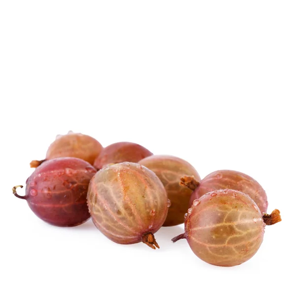 Gooseberry — Stock Photo, Image