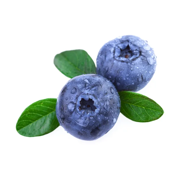 Blueberries in close up — Stock Photo, Image