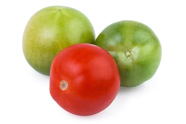 Green and Red Tomato — Stock Photo, Image