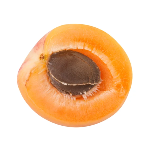 Half of Apricot with fruit core — Stock Photo, Image