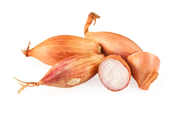 흰색 위에 양파 shallots — 스톡 사진