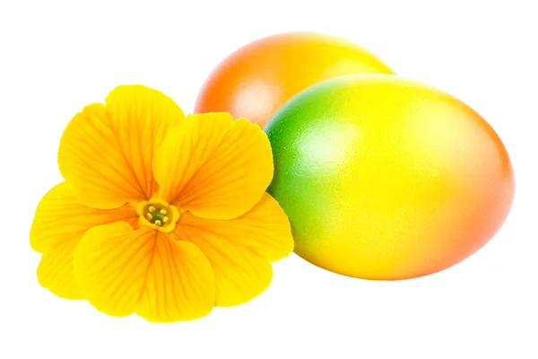 Easter Eggs with Spring Flower isolated on White — Stock Photo, Image