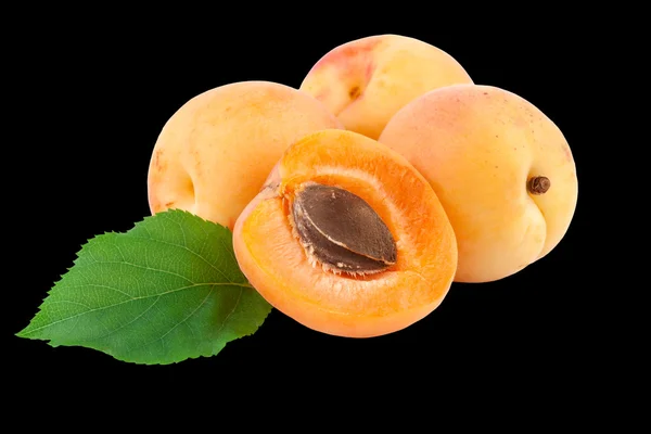 Apricot Fruits isolated on Black Background — Stock Photo, Image