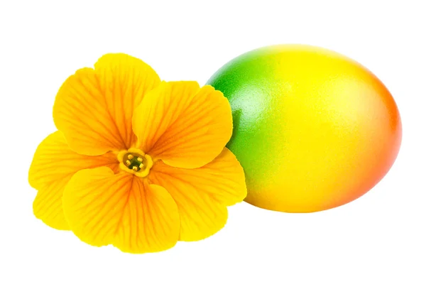 Easter Egg Yellow Flower — Stock Photo, Image