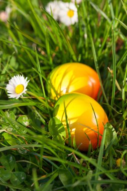 Yeşil çimlerde saklı Paskalya yumurtaları