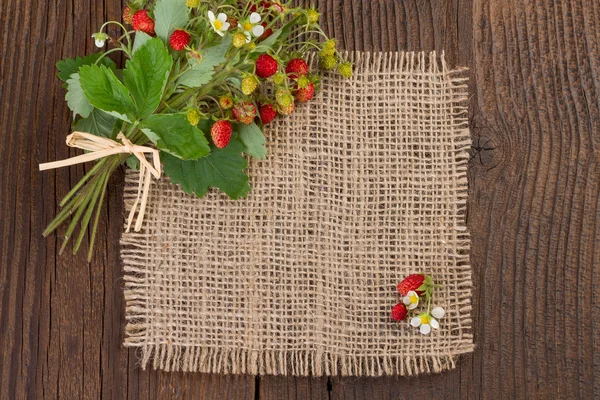 Fragole selvatiche su sfondo rustico — Foto Stock