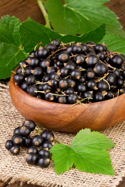 Black Currant Berries in wooden bowl on burlap jute background — Stock Photo, Image