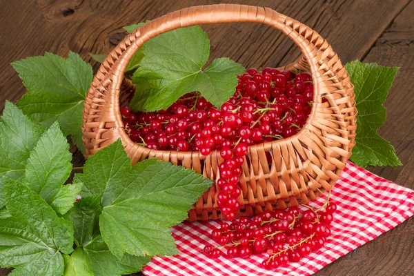 Korg med röda vinbär med gröna blad på röd rutig bordsduk — Stockfoto