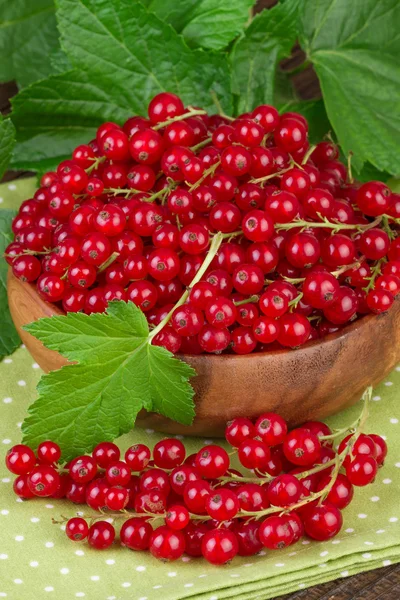 Red Currant Green Leaf — Stock Photo, Image