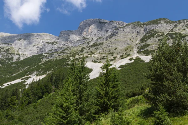 Lihat di Dogs Head Mountain. Austria, Hinterhornalm, Tirol — Stok Foto