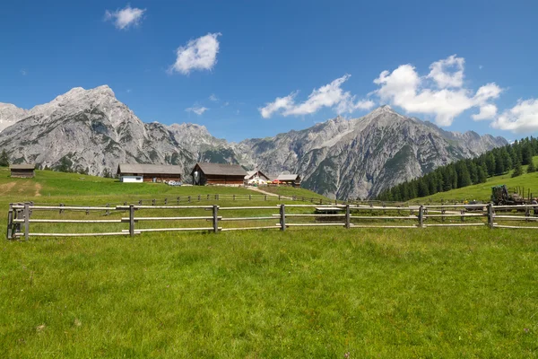 Scène rurale avec chaîne de montagnes en arrière-plan. Alpes, Autriche . — Photo