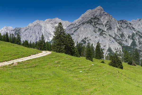 田园诗般的落矶山脉的风景。奥地利蒂罗尔阿尔卑斯山. — 图库照片