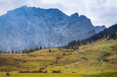 Sonbahar manzara Alpleri'nde. Avusturya, Tirol