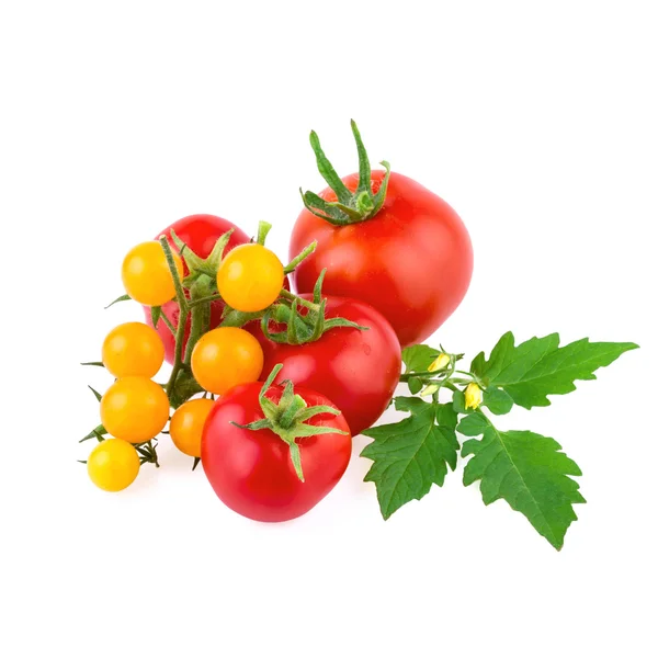 Rote und gelbe Bio-Tomaten isoliert auf weiß — Stockfoto