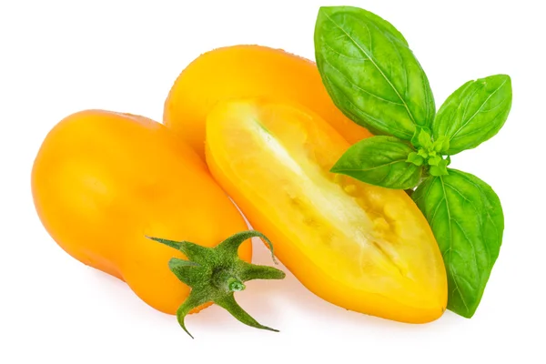 Tomates jaunes à la feuille de basilic isolées sur blanc — Photo