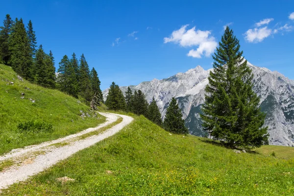 Nyáron hegyi táj utat. Ausztria. Tirol közelében Walderalm. — Stock Fotó