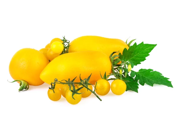 Tomates amarillos con hoja verde aislados sobre blanco —  Fotos de Stock