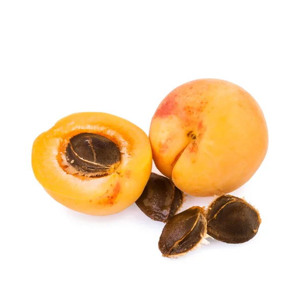 Apricot and half of fruit with fruits core — Stock Photo, Image