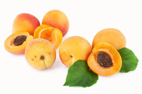 Aprikosenfrüchte vereinzelt auf weiß verstreut — Stockfoto