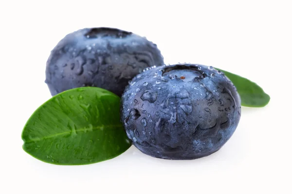 Blueberries Close up — Stock Photo, Image