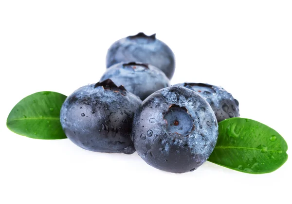 Blaubeeren häufen sich isoliert auf weiß — Stockfoto