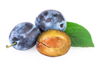 Erik yaprağı üzerinde beyaz izole